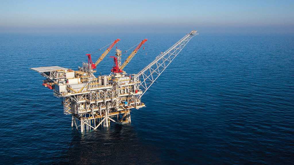 La compagnie israélienne «Delek» vend sa part du champ gazier à la compagnie émiratie Mubadala