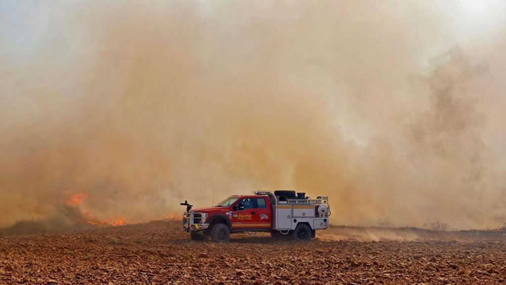 L’armée de l’occupation frappe Gaza en riposte aux lancers de ballons incendiaires