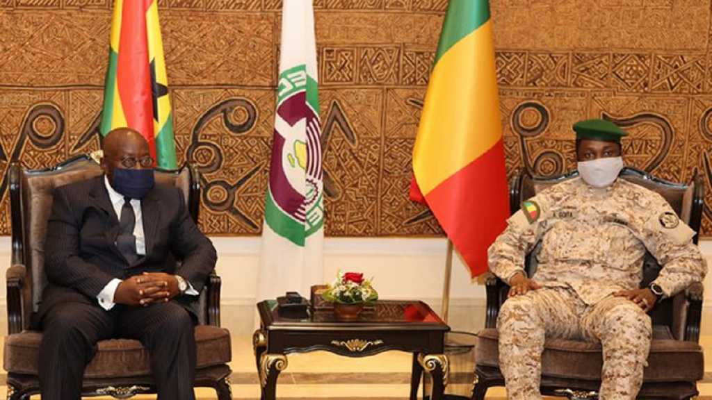 Mali: la Cédéao délivre un «message ferme» à la junte sur les élections