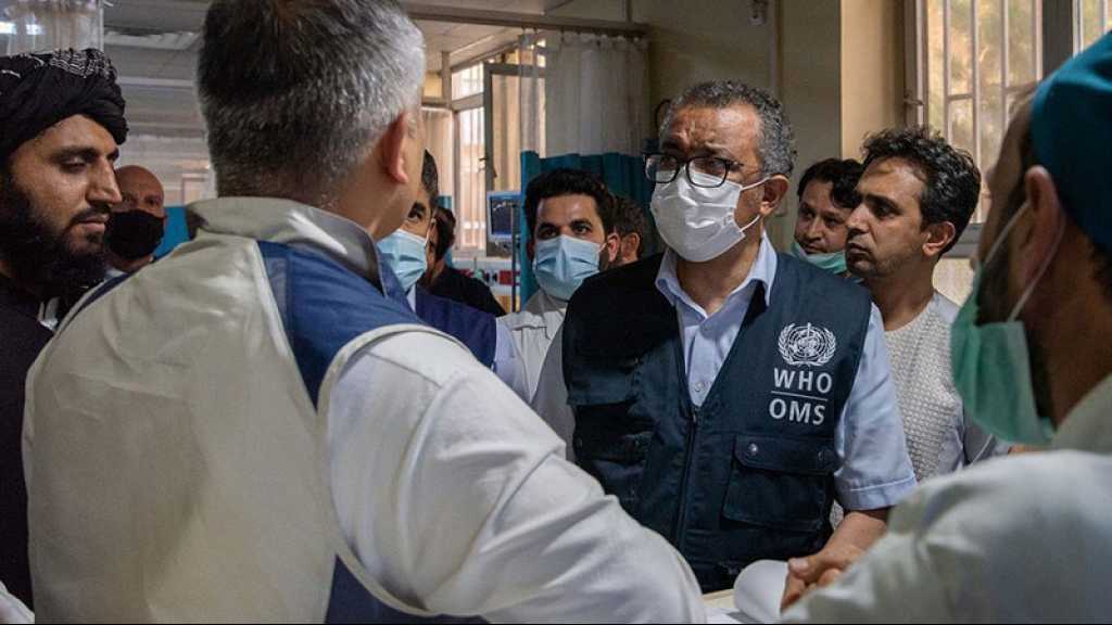 Crise sanitaire en Afghanistan: le chef de l’OMS a rencontré le ministre de la Santé des talibans