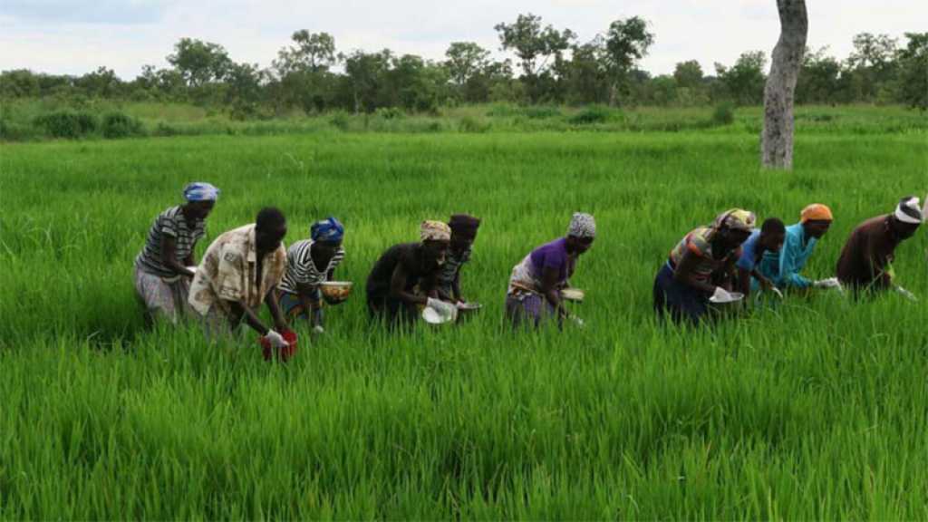 Le Sri Lanka demande l’aide de l’ONU et alerte sur la menace d’une famine