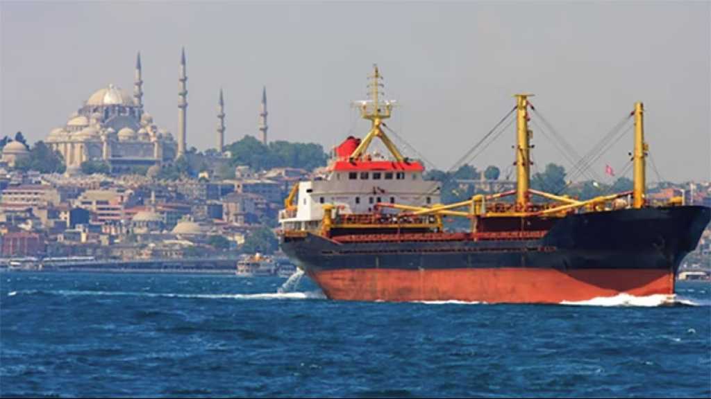 Un cargo russe transportant des céréales ukrainiennes retenu en Turquie
