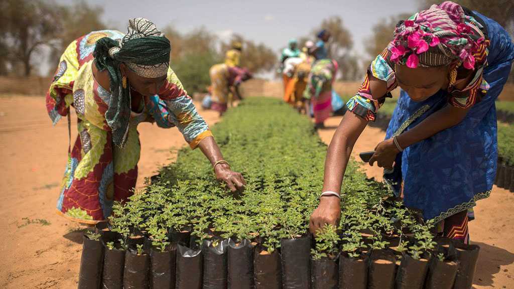 L’ONU appelle à soutenir le développement durable en Afrique en dépit des crises diverses