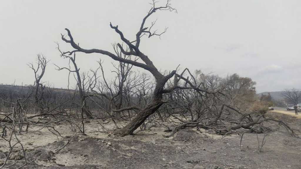 Algérie: les incendies «sont totalement maîtrisés»