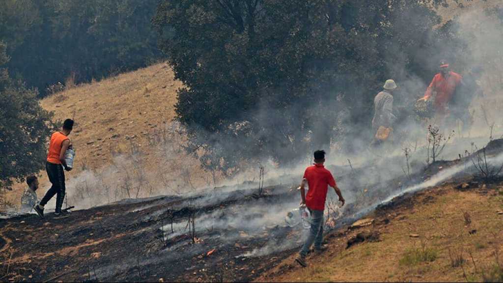 Algérie: au moins 43 personnes ont péri dans les derniers incendies