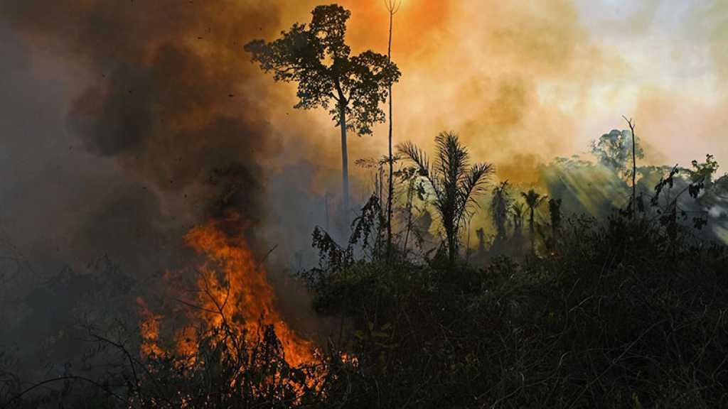 Brésil: record d’incendies en Amazonie depuis 15 ans