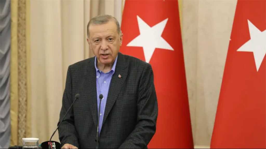 Erdogan dénonce le «jeu dangereux» de la Grèce en mer Égée