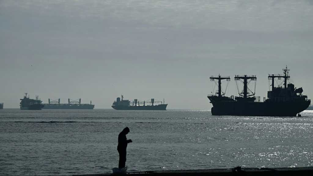 Six cargos céréaliers quittent les ports ukrainiens après une volte-face de la Russie