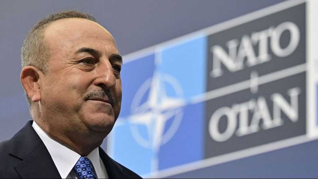 Adhésion à l’Otan: la Suède et la Finlande ont fait des «pas positifs», estime la Turquie