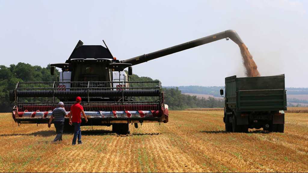 Les exportations de blé russe ont triplé, selon l’Onu