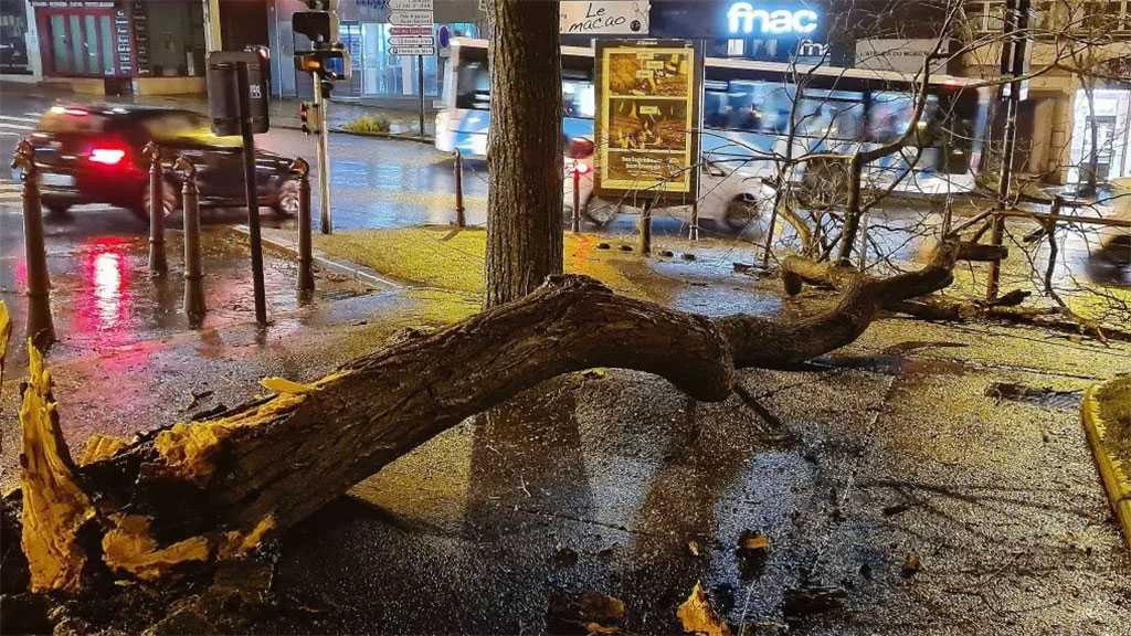 Tempête Gérard : 75 000 foyers privés d’électricité dans l’Ouest