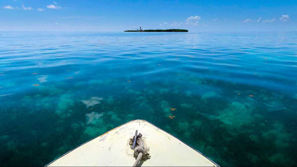 Un naufragé survit 24 jours en mer des Caraïbes, avec une bouteille de ketchup
