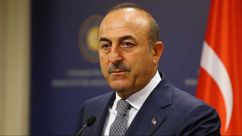 La Suède et la Finlande dans l’Otan : la Turquie annonce la reprise des négociations le 9 mars