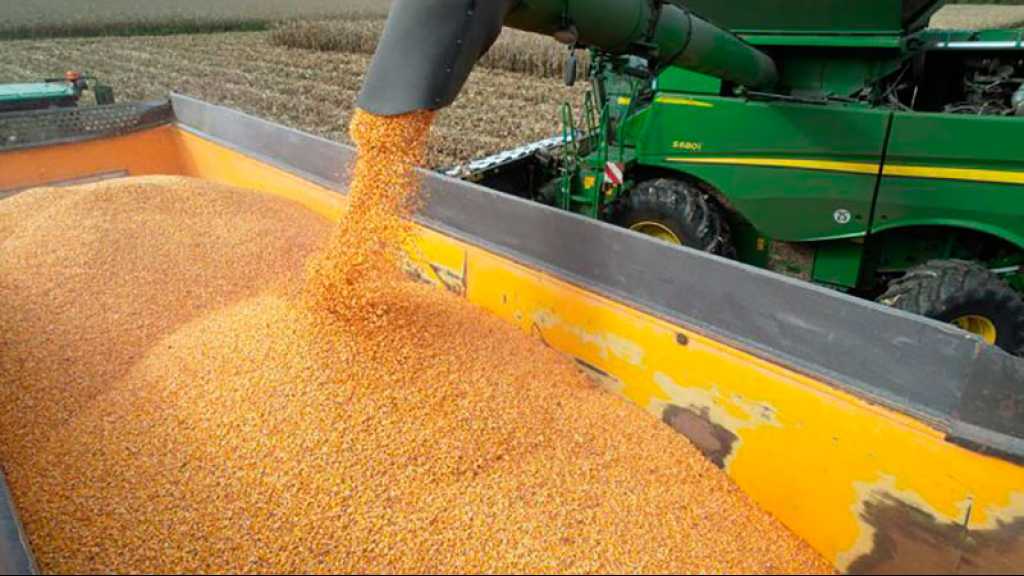 Ces pays africains boostent leurs achats de blé russe