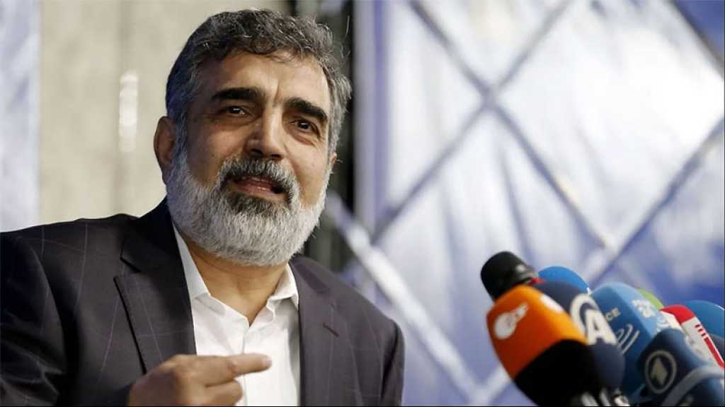 JCPOA : L’attitude des Européens est responsable des mesures prises par l’Iran (porte-parole de l’OIEA)
