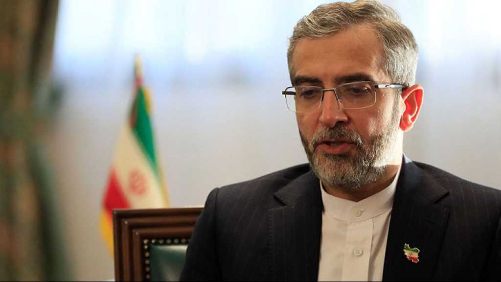 Ali Bagheri à Abu Dhabi pour discuter du renforcement de la coopération bilatérale