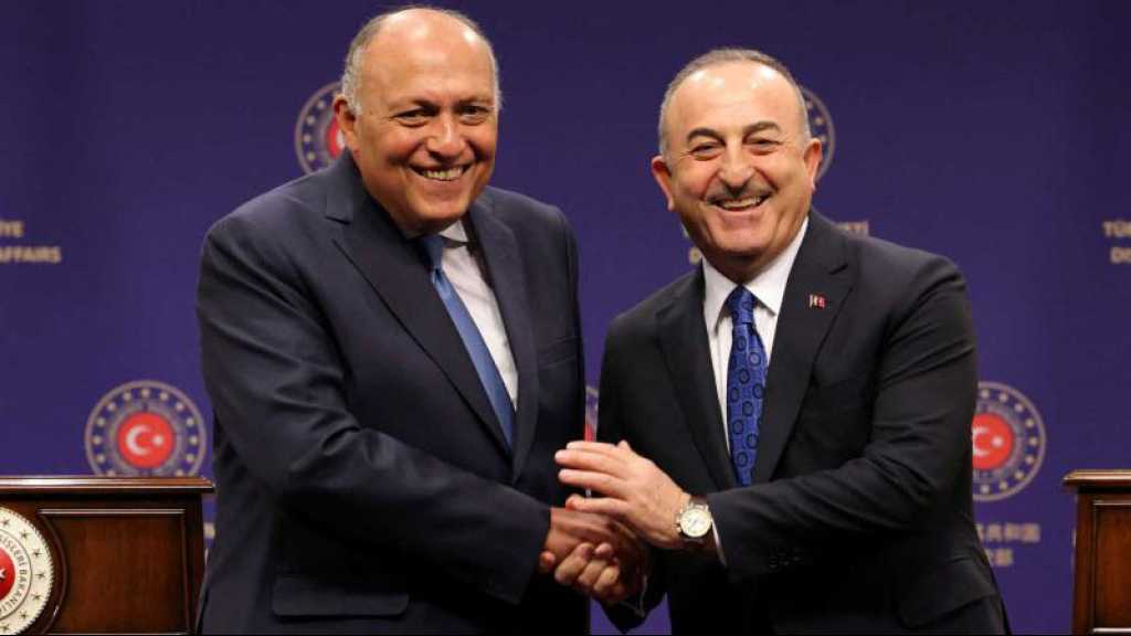 L’Égypte et la Turquie nomment des ambassadeurs pour la première fois depuis dix ans