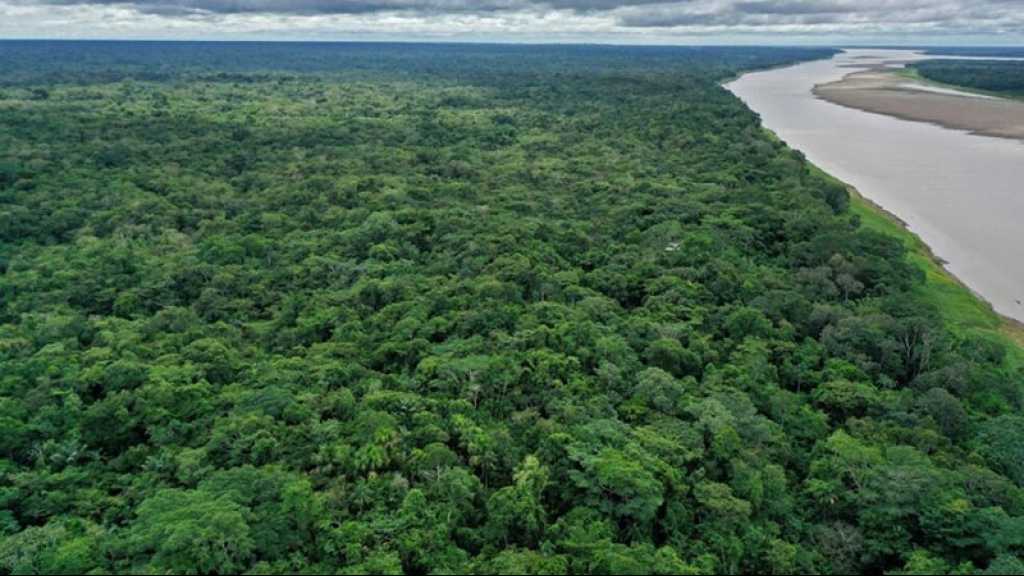 Lula veut que «le monde aide» le Brésil à préserver l’Amazonie