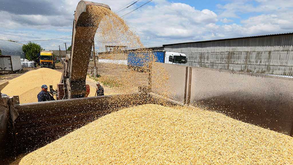 La Russie livrera bientôt jusqu’à 50.000 tonnes de céréales à 6 pays africains