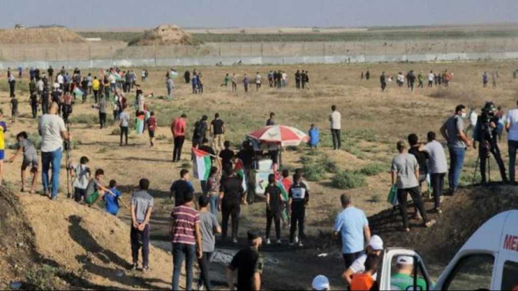 30 Palestiniens blessés par les forces israéliennes dans la bande de Gaza