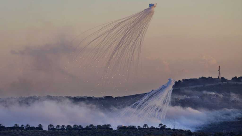 Liban-Sud: Washington «préoccupé» après un article sur l’utilisation par «Israël» de phosphore blanc américain