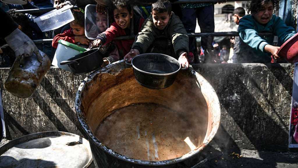 Aide à Gaza: Amnesty dénonce la «faiblesse» de la communauté internationale face à «Israël»