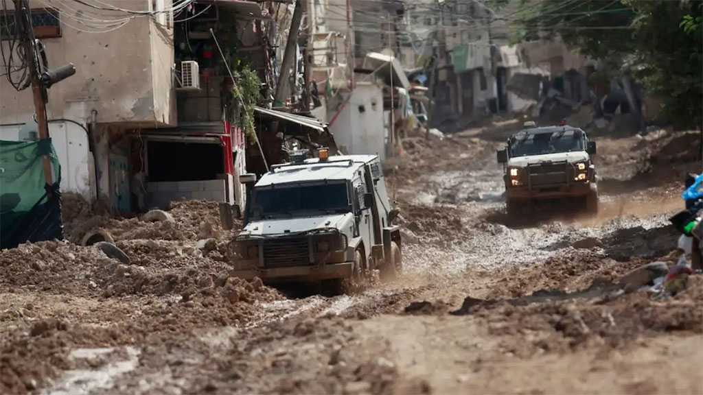 Cisjordanie : Cinq martyrs dans des frappes israéliennes à Tubas