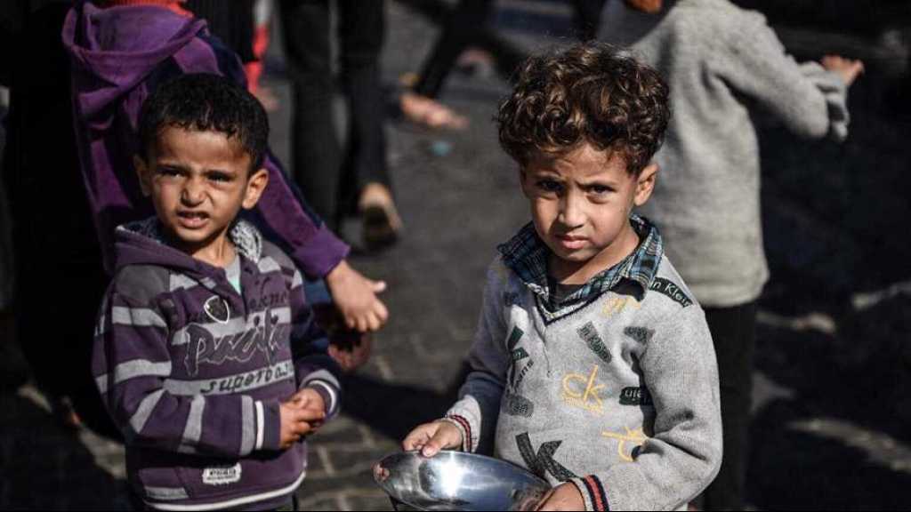 L’offensive a Gaza intensifiée « pour sauver Netanyahu » et son cabinet extrémiste (général de réserve)