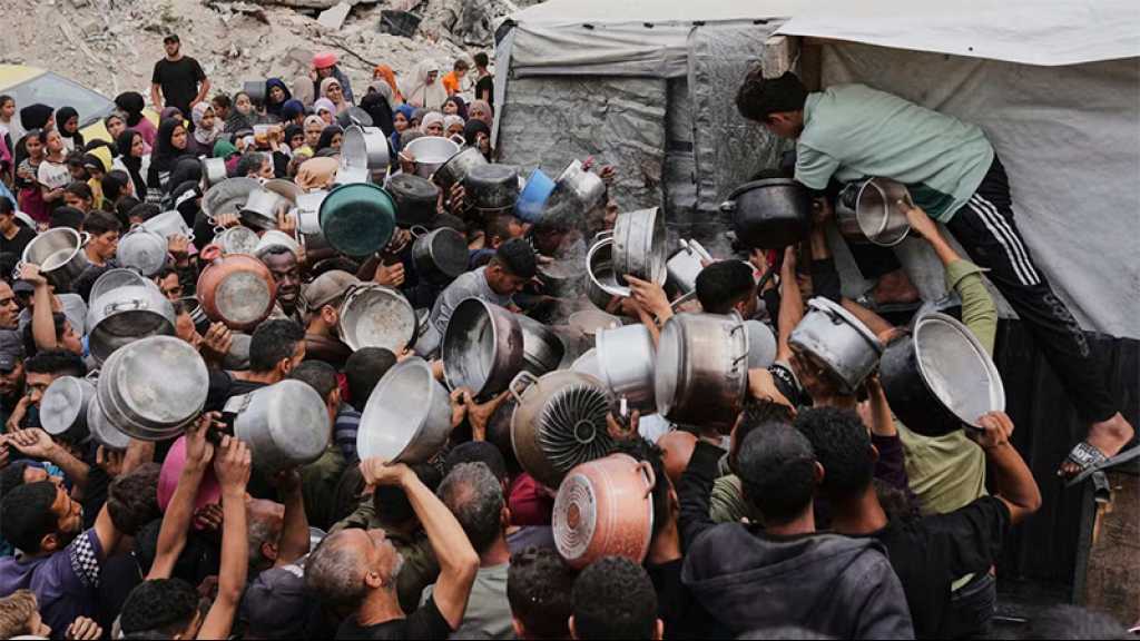 Gaza: «Deux millions de personnes sont affamées» alors que des «tonnes de nourriture sont bloquées à la frontière», s’alarme l’OMS