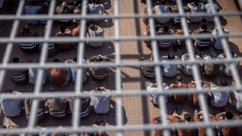 Témoignages poignants: Les prisonniers palestiniens dans les prisons «israéliennes» ébouillantés et attaqués par des chiens