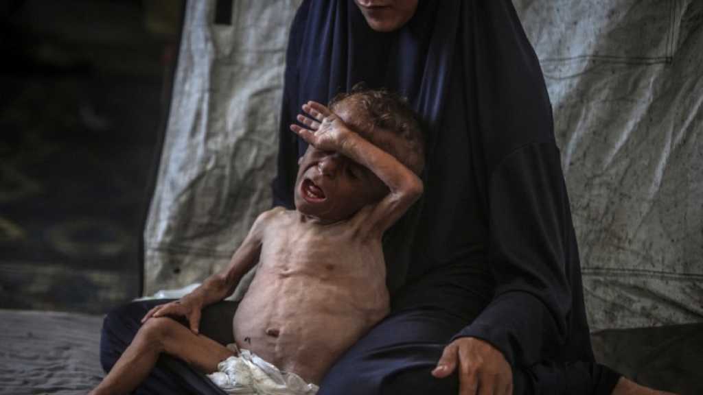 Gaza: La malnutrition touche un quart des jeunes enfants examinés par MSF