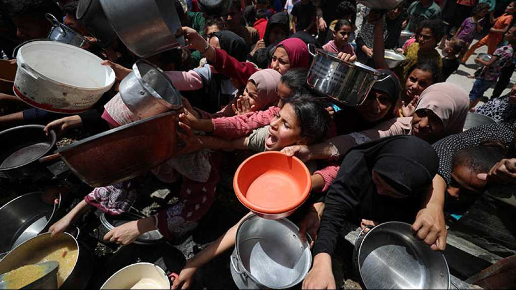 Plus de 1000 rabbins accusent «Israël» d’utiliser la faim comme une arme à Gaza