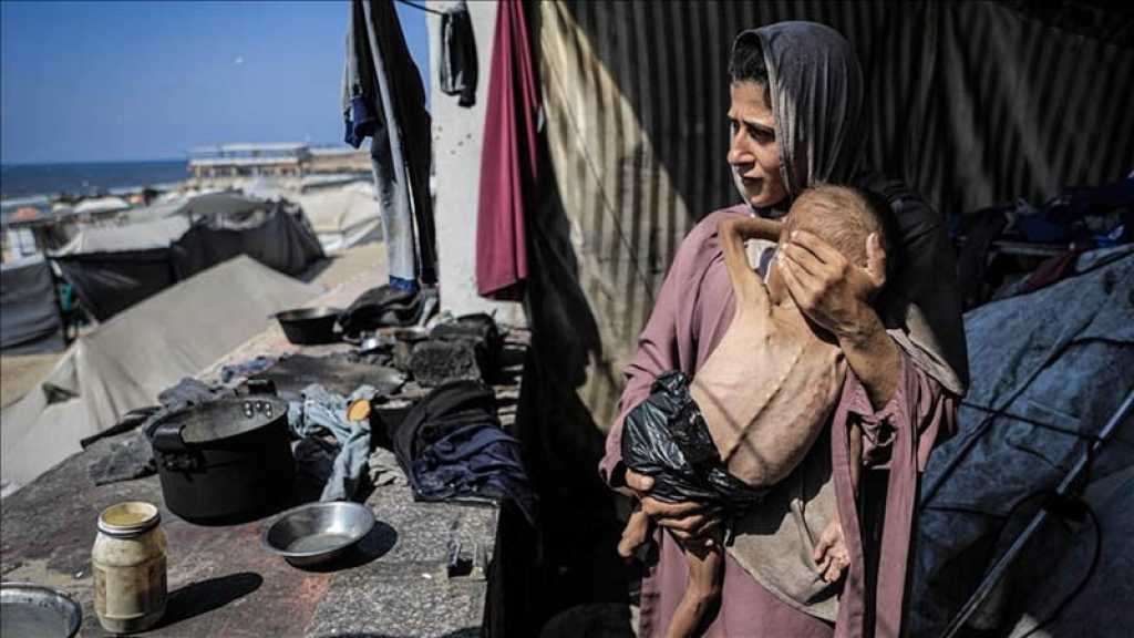 Gaza: Le bilan des décès liés à la famine s’élève à 162, MSF accuse «Israël» d’«organiser des massacres»