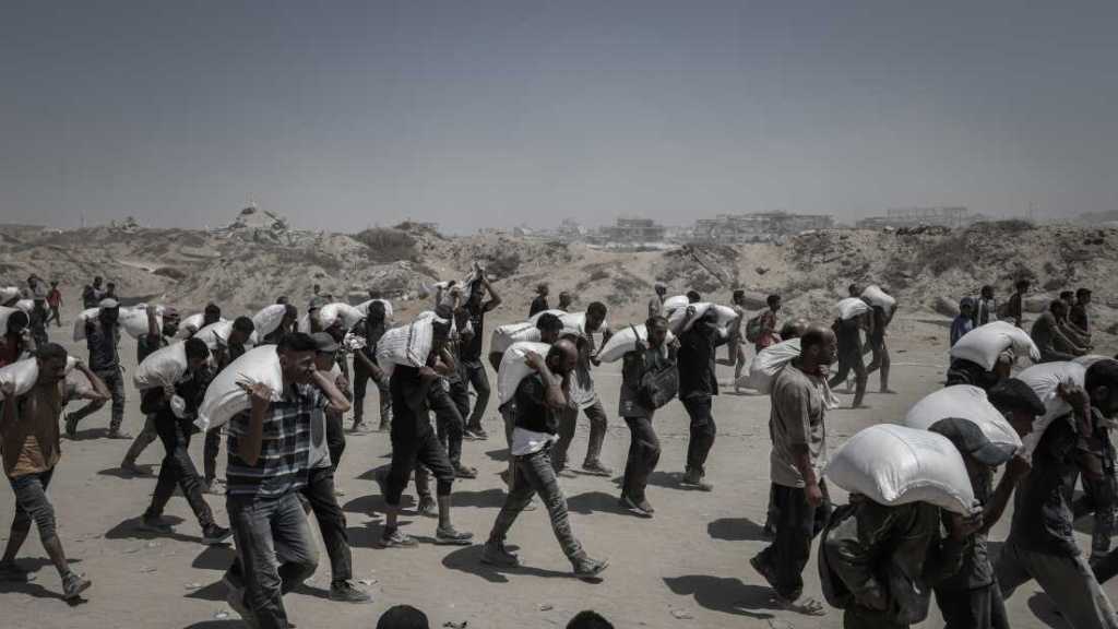 «Arrêtez l’horreur à Gaza»: Environ mille artistes «israéliens» somment «Tel Aviv» de mettre fin à la guerre