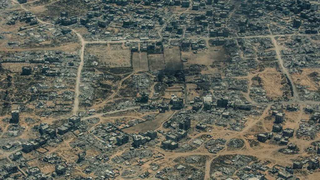 Gaza: Seulement 1,5 % des terres agricoles utilisables, selon la FAO