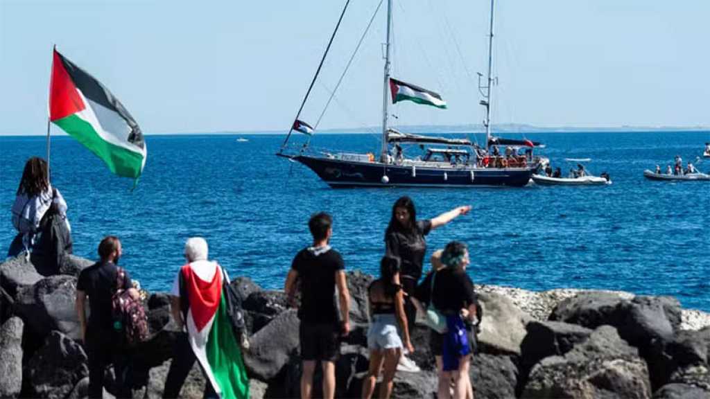 Gaza: Une nouvelle flottille humanitaire prendra la mer, annonce Greta Thunberg