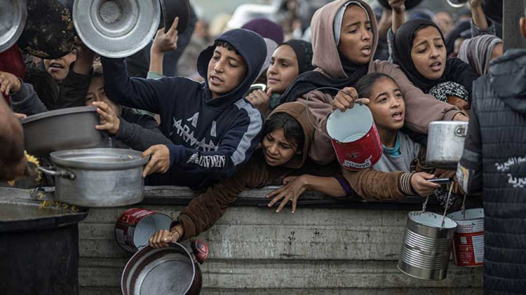 Gaza: 222 décès liés à la famine, «la malnutrition est généralisée», alerte l’OMS
