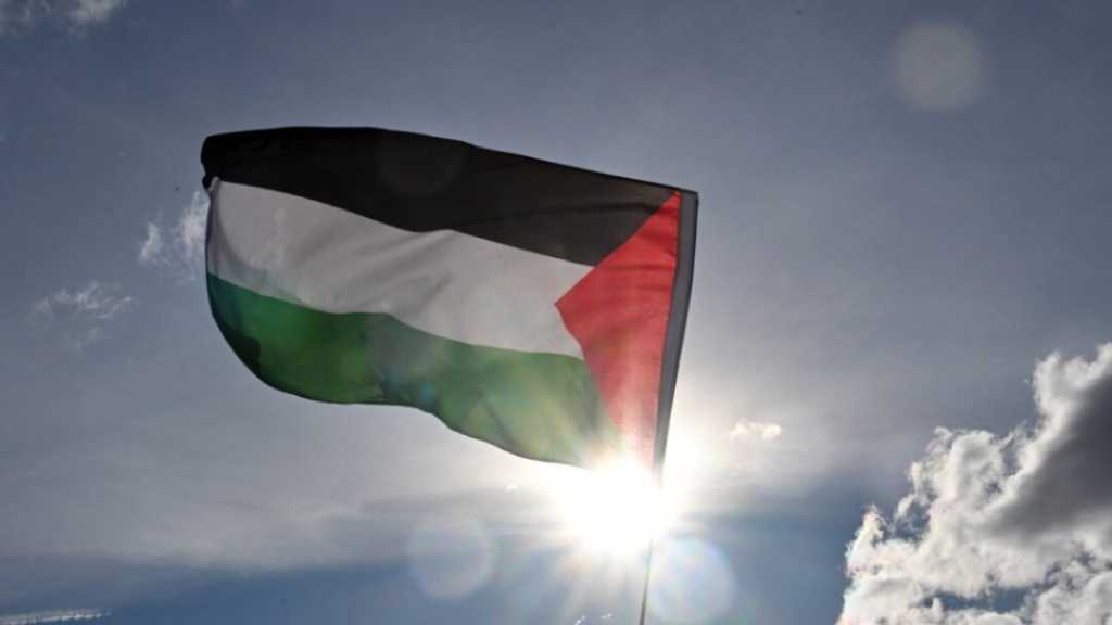  Les trois quarts des membres de l’ONU favorables à un État de Palestine