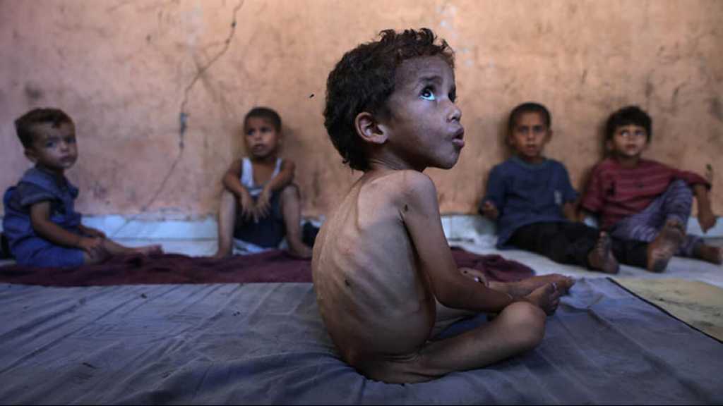 Gaza: Amnesty accuse «Israël» de mener «une campagne de famine délibérée», un demi-million de Palestiniens touchés selon le PAM