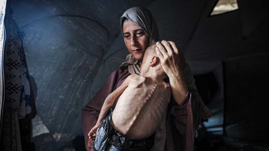 Gaza: 7 nouveaux décès, dont 2 enfants, dus à la famine 