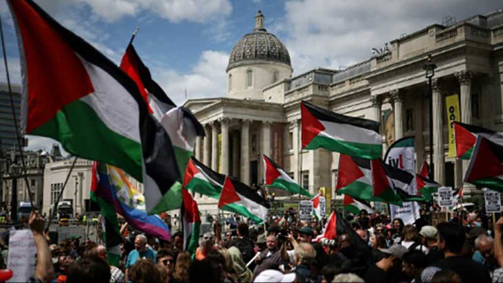 Gaza: Des parlementaires d’Irlande du Nord, d’Ecosse et du Pays de Galles exhortent des «sanctions immédiates à Israël»