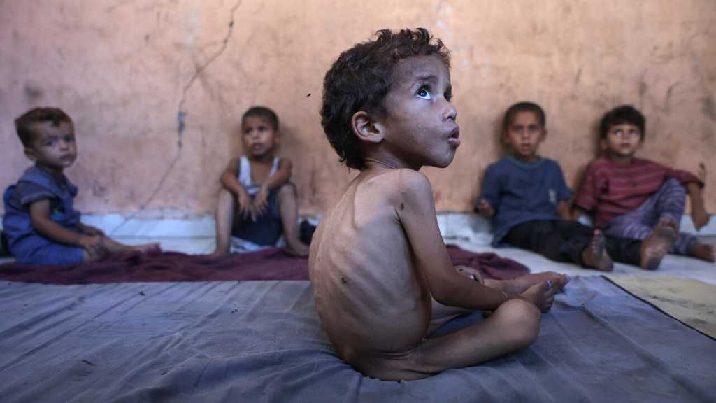  Gaza: Un enfant sur quatre souffre de malnutrition