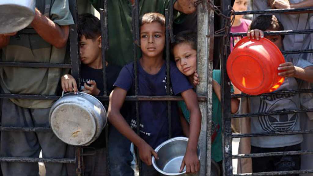 Famine à Gaza: Hormis les USA, les membres du Conseil de sécurité de l’Onu dénoncent «une crise créée par l’homme»