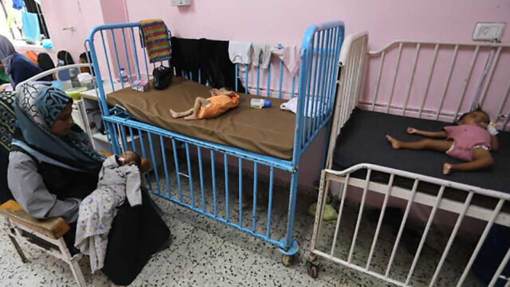 Gaza: L’OMS appelle à un accès sûr et durable à l’aide alors que la famine s’aggrave