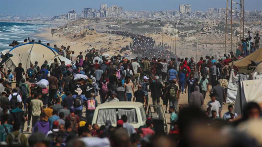 Gaza: Près de 200.000 personnes sont retournées dans le nord de l’enclave, selon la défense civile