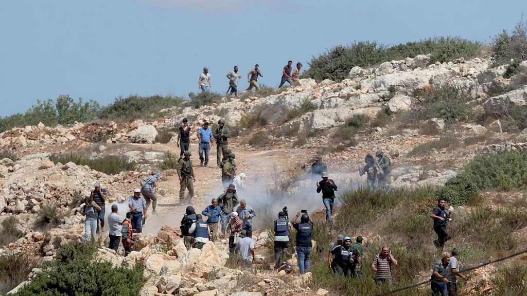 Cisjordanie occupée: Des milices des colons «israéliens» attaquent les cueilleurs d’olives
