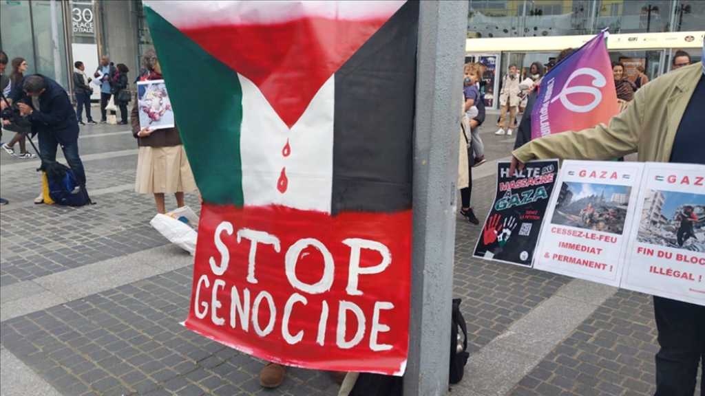 Des militants français appellent Macron à suspendre la coopération militaire avec «Israël»