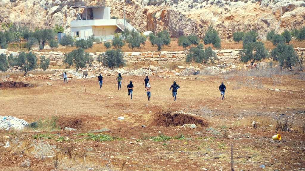 Cisjordanie occupée: 126 attaques de colons pendant la saison des olives, selon l’OCHA