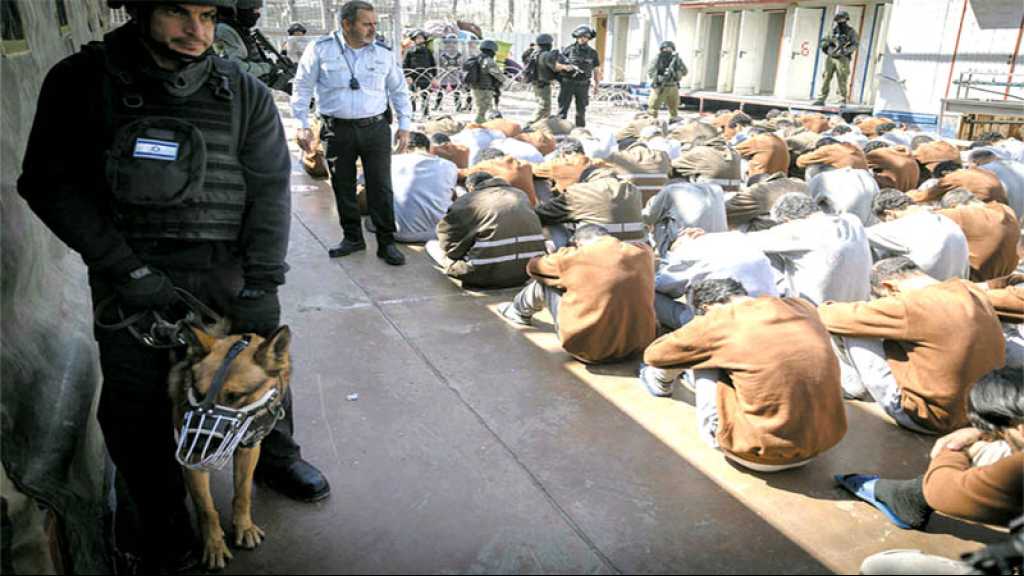 L’ONU condamne la torture systématique des Palestiniens par «Israël»