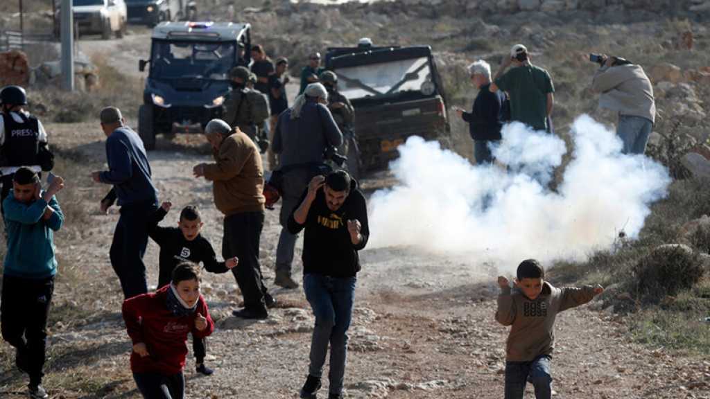 Cisjordanie: Les militaires et les colons «israéliens» ont mené 2144 attaques rien qu’en novembre